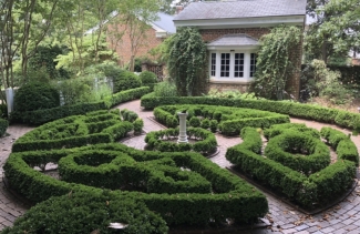 photo of boxwood maze, day