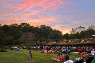 photo of lawn with people, twilight sky