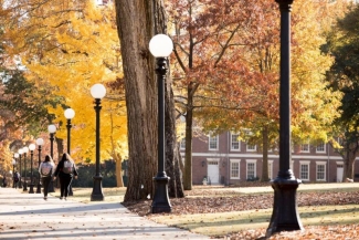 photo of sidewalk and trees with yellow leaves