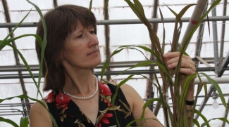 photo of woman with plant leaves