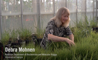 photo of woman in greenhouse, with white text