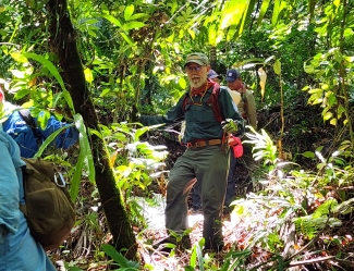 photo of man walking in jungle, day