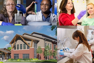 collage of research photos and building