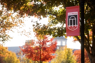 photo of foliage and banner with cupola