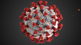 virus illustration of sphere with molecules