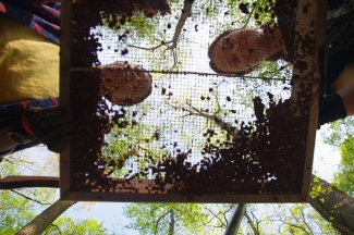 photo of two people through screening sift, from below.