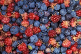 blueberries and strawberries