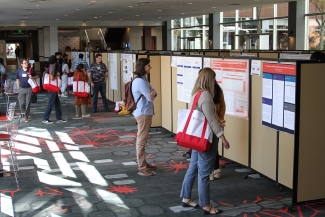 photo of people looking at research posters, indoors