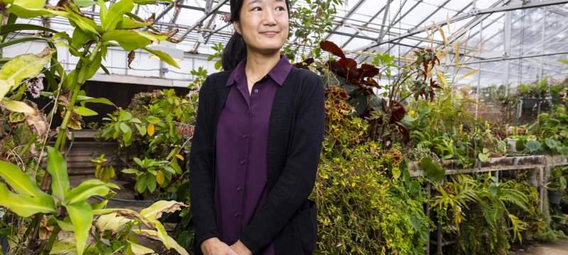 photo of woman in greenhouse, day