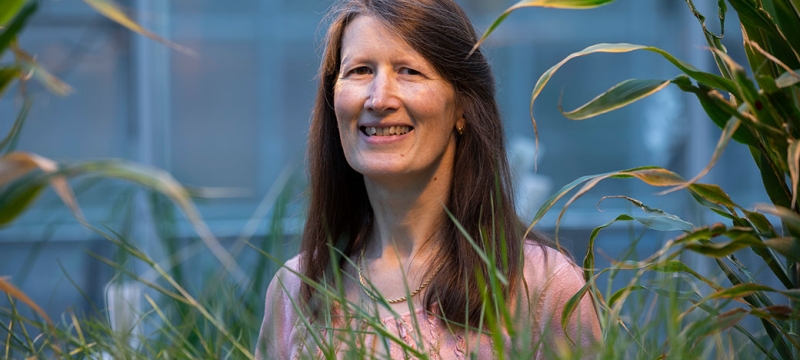 photo of woman in greenhouse, with plants