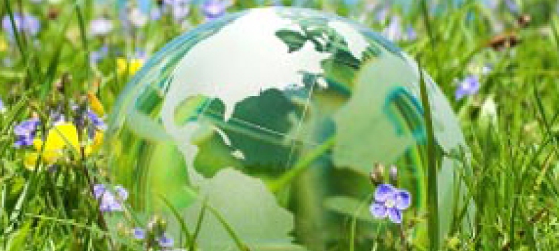 grass and planet