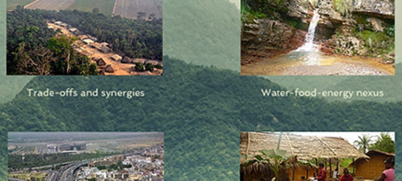 landscape with inset photos