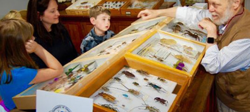 man with bugs under glass, kids