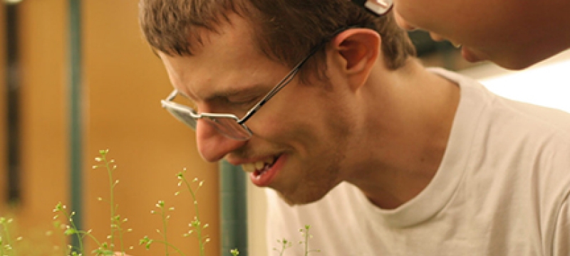 photo of men with plants