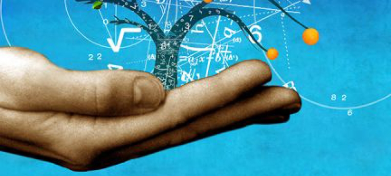 hand illustration