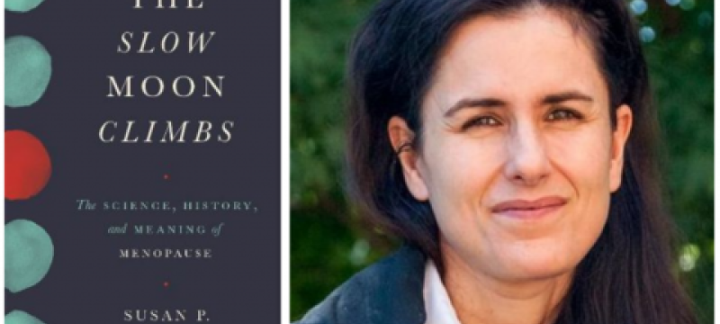 split image with photo on right, book cover with text, left