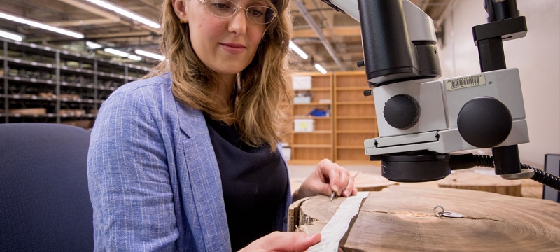 photo of woman with microscope and tree cookie