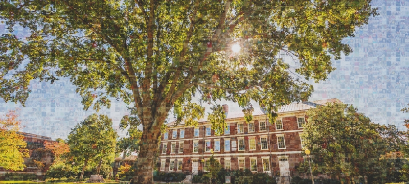 photo mosaic image of building, sky and trees