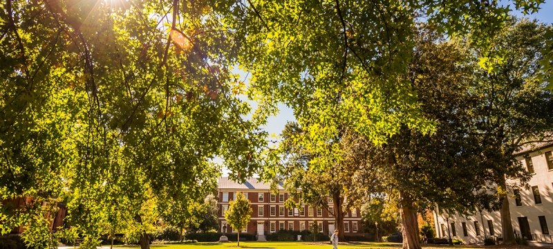 photo of sunny day with trees and buildings