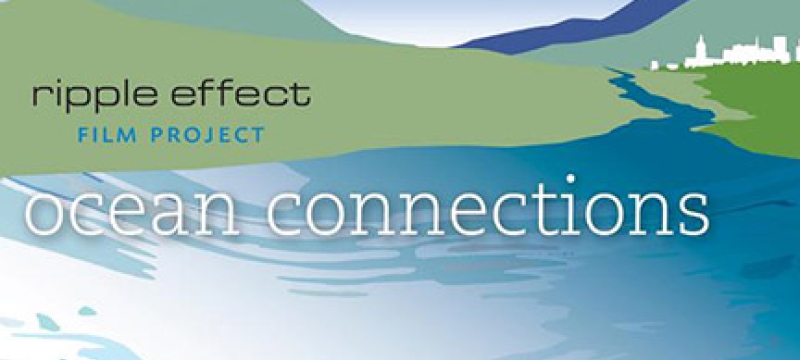 graphic of of inlet, coast, mountains