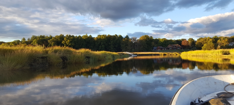 photo of coastal marsh spartina, day, with water