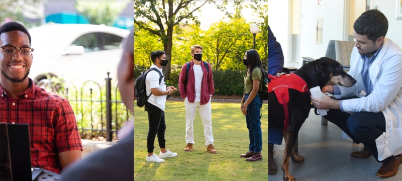 composite of three photos with people and a dog