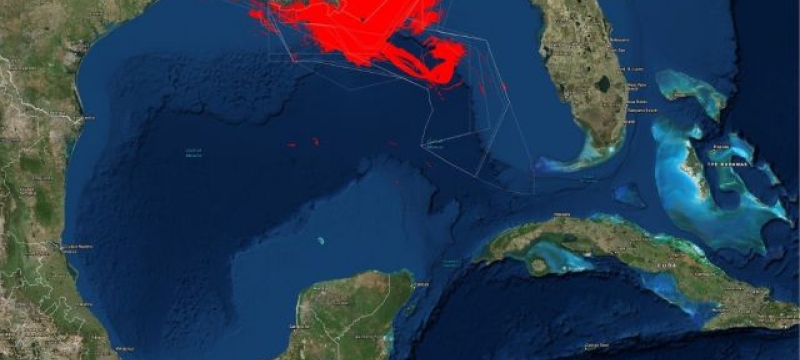 satellite photo of Gulf of Mexico, with red spill outline