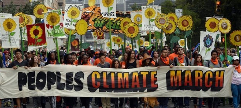 protest with sign, flowers