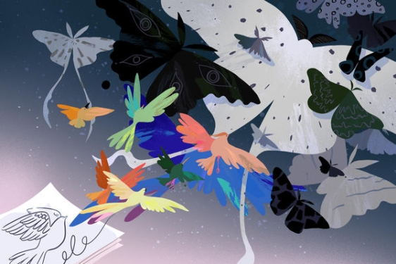 graphic with colorfully drawn birds and paper