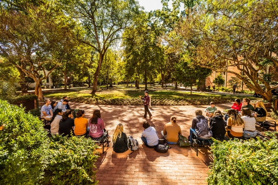 photo of people on north campus quad, day, with trees, shadows