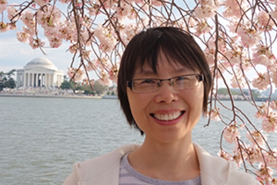 photo of woman with cherry blossom and Lincoln memorial in background