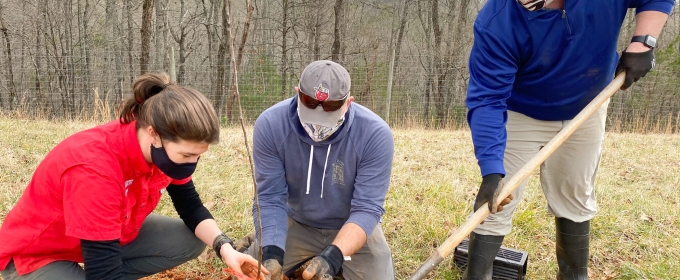 photo of three people planting trees