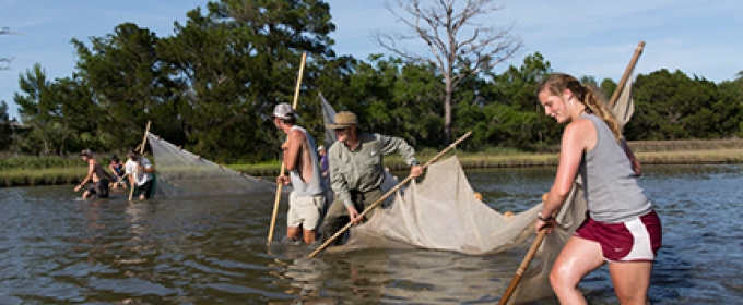 photo of people in a river with nets