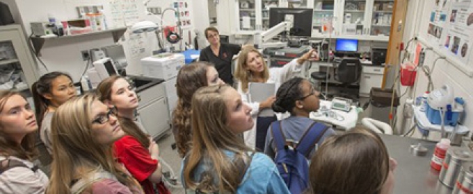 students in a vet med lab