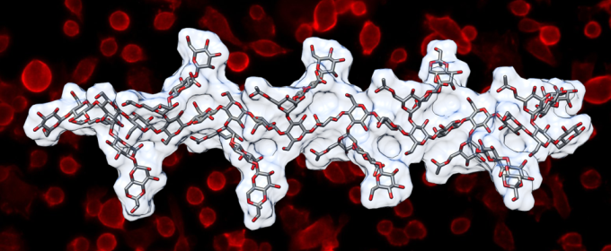 composite image of molecule and photography of human cells