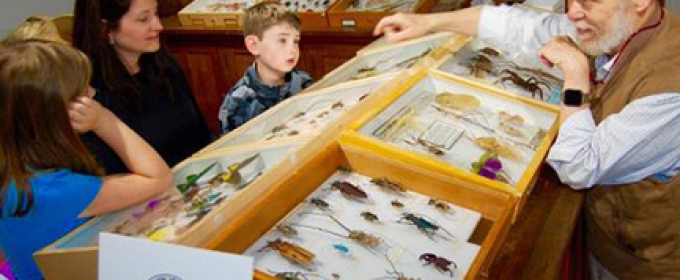 man with bugs under glass, kids