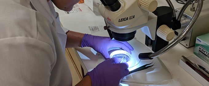 photo of woman with microscope and sample