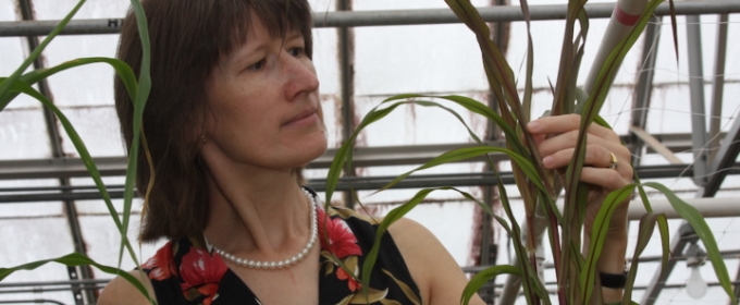 photo of woman with plant leaves