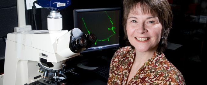 photo of woman with microscope and computer screen 