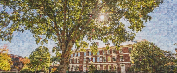 photo mosaic image of building, sky and trees