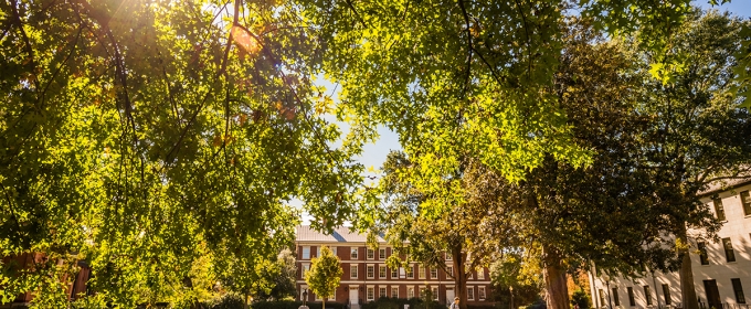 photo of sunny day with trees and buildings