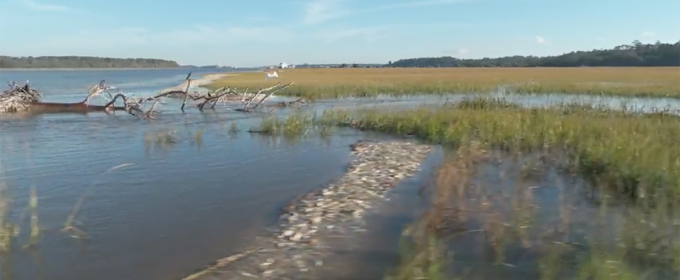 photo of water, reef, and marsh, day