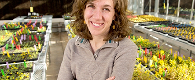 woman in greenhouse, photo