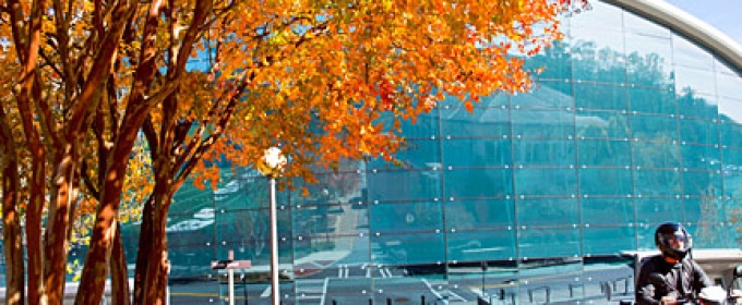 coliseum, with arbre and scooter