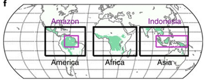 graphic atlas with tropical regions regions highlighted