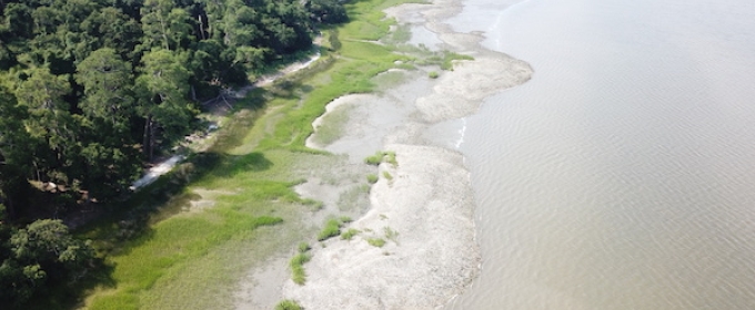 aerial photo of coastline in daylight