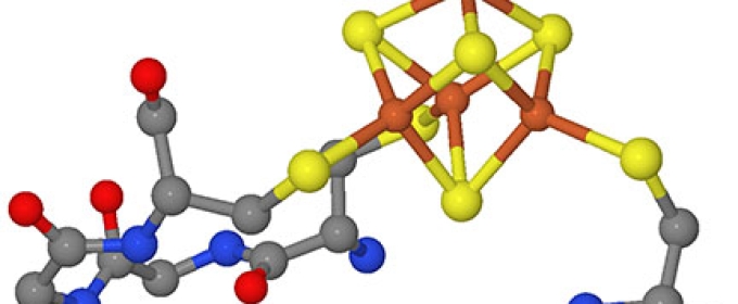 ball and stick model of protein 