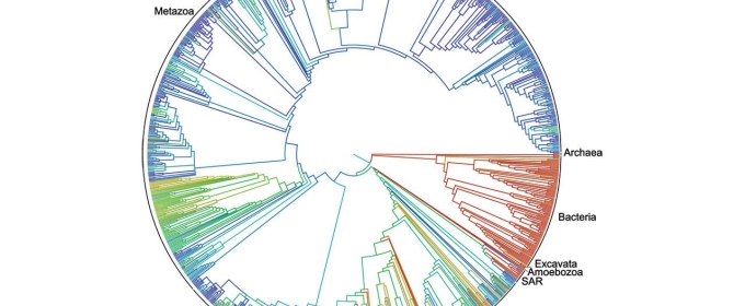 circular graphic with species labeled