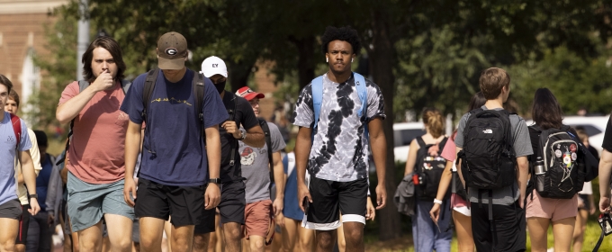 photo of people walking, with trees, day