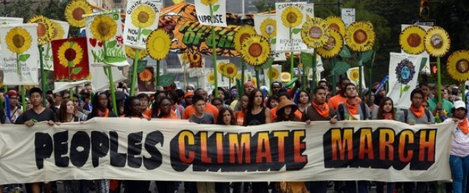 protest with sign, flowers